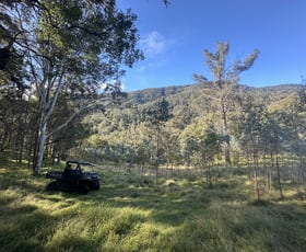 Rural / Farming commercial property sold at 61/1118 Neringla Road Braidwood NSW 2622