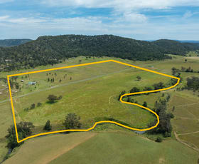 Rural / Farming commercial property sold at 713 Giants Creek Road Giants Creek NSW 2328
