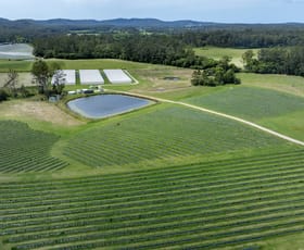 Rural / Farming commercial property for sale at 40B Hallgaths Road Coffs Harbour NSW 2450