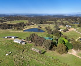 Rural / Farming commercial property for sale at 174 Beechworth Road Mudgee NSW 2850