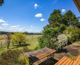 Rural / Farming commercial property for sale at 8815 Kings Highway Braidwood NSW 2622