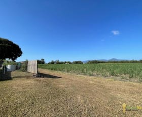Rural / Farming commercial property for sale at 45 Thomson Road Edmonton QLD 4869