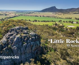 Rural / Farming commercial property for sale at 66 Gap Road 'Little Rock' The Rock NSW 2655