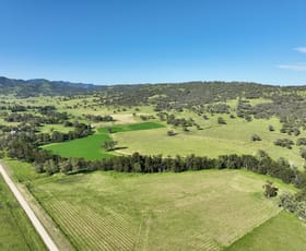 Rural / Farming commercial property sold at "Strathleigh" Warrah Creek Rd Willow Tree NSW 2339