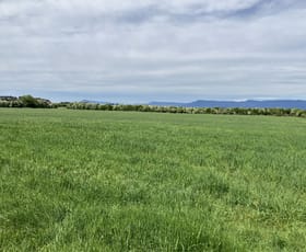 Rural / Farming commercial property sold at 849 Oaks Road Carrick TAS 7291