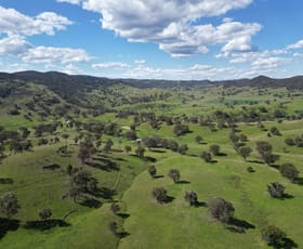 Rural / Farming commercial property for sale at 5192 Halls Creek Road Halls Creek NSW 2346