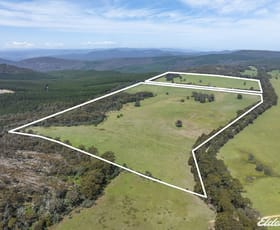 Rural / Farming commercial property sold at 1187 Bonnie Doon Road Boho South VIC 3669