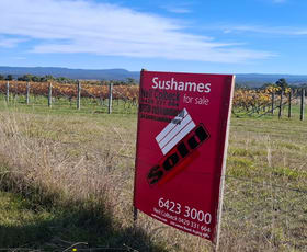Rural / Farming commercial property for sale at 15094 Tasman Highway Cranbrook TAS 7190