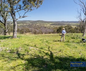 Rural / Farming commercial property sold at 2929 Rockvale Road Armidale NSW 2350