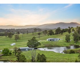 Rural / Farming commercial property for sale at 75 Grundon Road Conondale QLD 4552