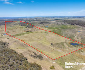 Rural / Farming commercial property sold at 495 Graywood Siding Road Woodhouselee NSW 2580