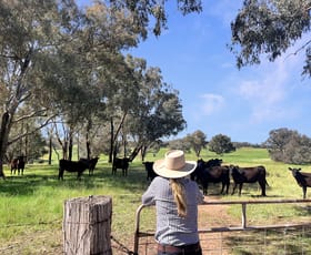 Rural / Farming commercial property for sale at 538 Ferndale Road Woodstock NSW 2793
