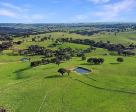 Rural / Farming commercial property for sale at 538 Ferndale Road Woodstock NSW 2793