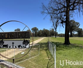 Rural / Farming commercial property for sale at 200 Aberdeen Road Inverell NSW 2360