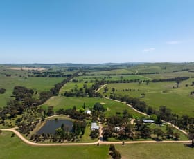 Rural / Farming commercial property for sale at Pastoria VIC 3444