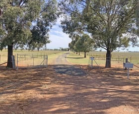 Rural / Farming commercial property for sale at 71 Gospers Lane Peak Hill NSW 2869
