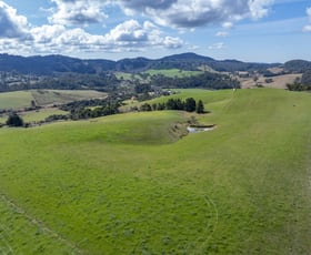 Rural / Farming commercial property for sale at 1378 Coramba Road Megan NSW 2453