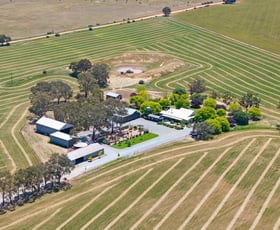 Rural / Farming commercial property for sale at 59 Smith Road Mintaro SA 5415