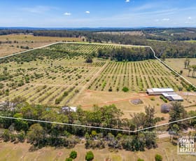 Rural / Farming commercial property for sale at 107 Cherry Creek Road Cherry Creek QLD 4314