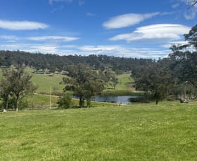 Rural / Farming commercial property for sale at 415 Buckland Road Buckland TAS 7190