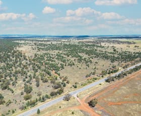 Rural / Farming commercial property for sale at Lot 80 & 81 Yarmwal Road Murrami NSW 2705