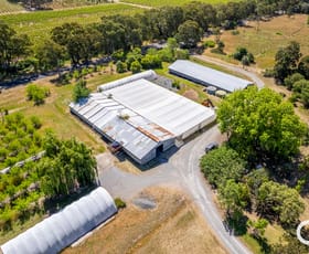 Rural / Farming commercial property for sale at 139 McLaren Flat Road Mclaren Flat SA 5171