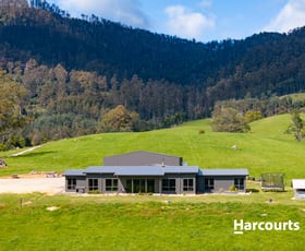 Rural / Farming commercial property for sale at 92 Petterwood Rd Trenah TAS 7263