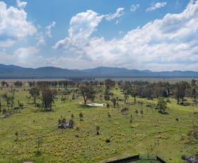 Rural / Farming commercial property for sale at 513 Norton Road Boynedale QLD 4680