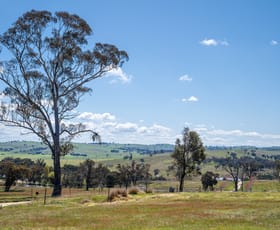 Rural / Farming commercial property sold at Lot 39/108 Wains Road Wieambilla QLD 4413