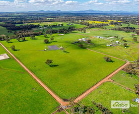 Rural / Farming commercial property for sale at 271 Wilson Road Mount Barker WA 6324