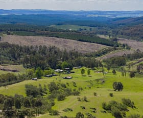 Rural / Farming commercial property sold at Tumbarumba NSW 2653