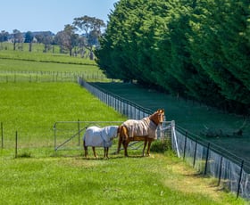 Rural / Farming commercial property for sale at 1601 Wheeo Road Crookwell NSW 2583