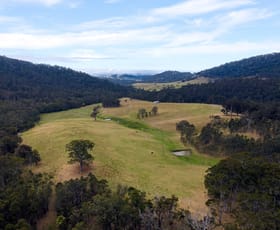 Rural / Farming commercial property for sale at 276 Little Careys Trail Candelo NSW 2550