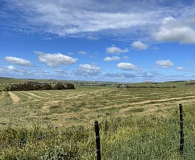 Rural / Farming commercial property for sale at Cnr Glenelg Highway and Denhills Road Coleraine VIC 3315