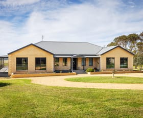 Rural / Farming commercial property for sale at 279 Dances Road Nirranda South VIC 3268