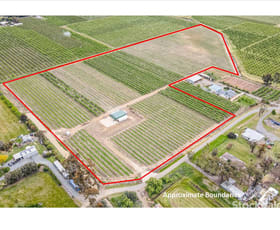 Rural / Farming commercial property for sale at 170 Prentice Road Orrvale VIC 3631