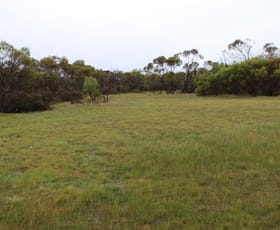 Rural / Farming commercial property for sale at 61 Blue Vista Hopetoun WA 6348