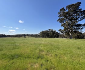 Rural / Farming commercial property sold at 173 Walter Road Scotsdale WA 6333
