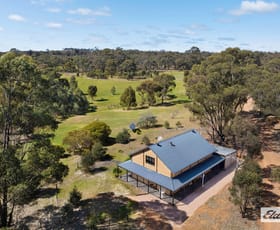 Rural / Farming commercial property for sale at 1767 Bendigo - Maryborough Road Shelbourne VIC 3515