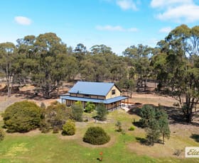 Rural / Farming commercial property for sale at 1767 Bendigo - Maryborough Road Shelbourne VIC 3515