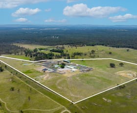 Rural / Farming commercial property for sale at 1599 Cope Road Gulgong NSW 2852