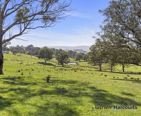 Rural / Farming commercial property for sale at 410 Guymers Road Homewood VIC 3717