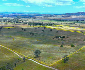 Rural / Farming commercial property for sale at 20 Callaghans Lane Quirindi NSW 2343