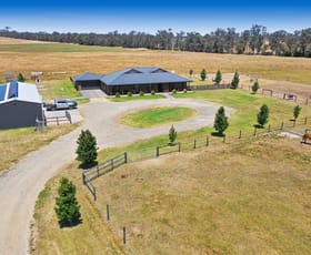 Rural / Farming commercial property for sale at 485 Lindenow-Meerlieu Road Lindenow South VIC 3875