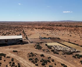 Rural / Farming commercial property for sale at 'Cavenagh' Orroroo-Paratoo Road Cavenagh SA 5422