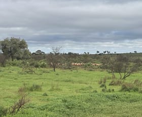 Rural / Farming commercial property for sale at 'Cavenagh' Orroroo-Paratoo Road Cavenagh SA 5422