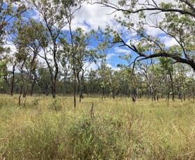 Rural / Farming commercial property for sale at Gunnawarra QLD 4872