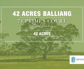 Rural / Farming commercial property for sale at 71 primes court Balliang VIC 3340