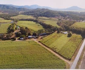 Rural / Farming commercial property for sale at 268 Eton/Homebush rd Eton QLD 4741