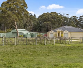 Rural / Farming commercial property for sale at 124 Pattons Road Pastoria East VIC 3444